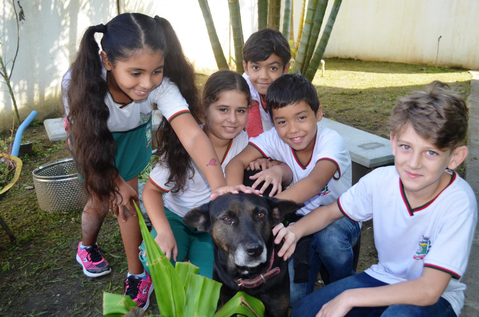 2%20 %20Cachorro%20trocou%20a%20vida%20nas%20ruas%20pela%20escola%20e%20hoje%20vive%20cercado%20de%20carinho