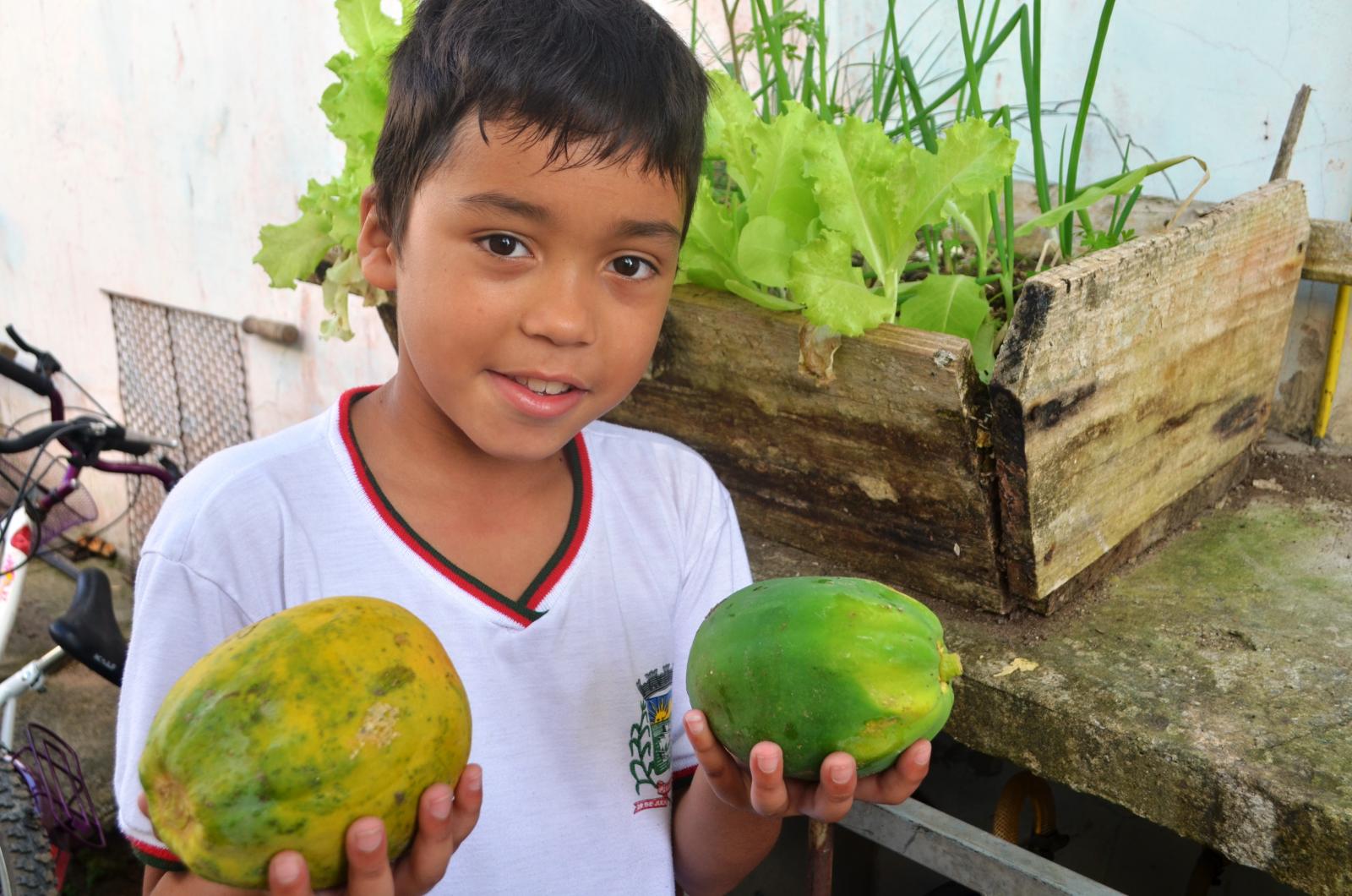 9%20 %20Cauan%20Eduardo%20colheu%20na%20semana%20passada%20alguns%20mam%C3%B5es%20plantados%20na%20escola