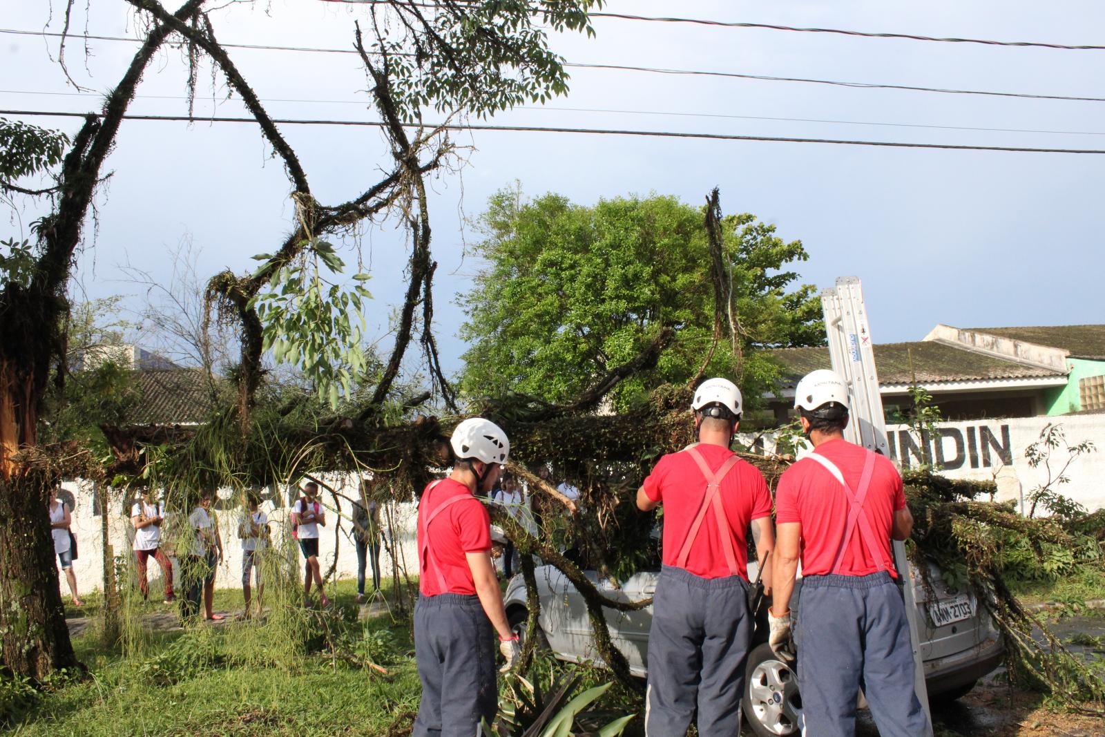 FOTO%202%20bombeiros%20arvore%20carro(1)