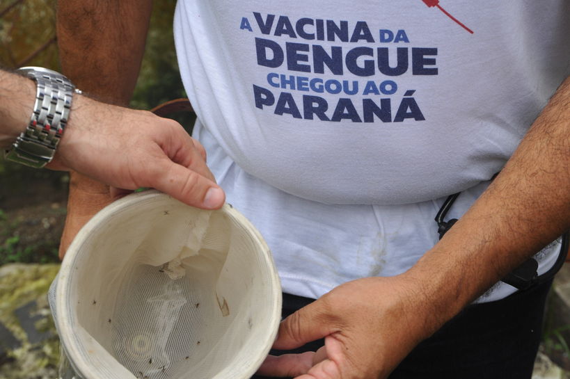 Foto%201 %20dengue