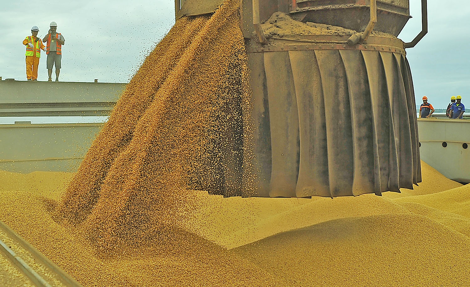 soja porto de paranaguá