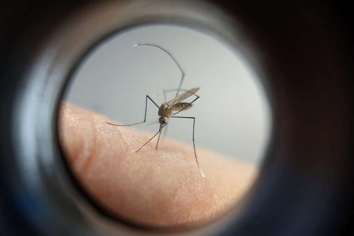 Estado tem 1.946 casos de dengue e combate à doença continua como prioridade