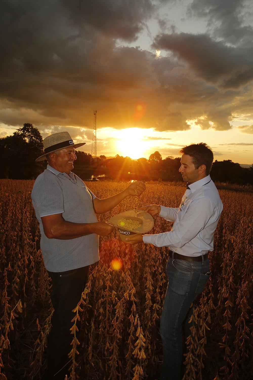  Cooperados valorizam o trabalho da Coamo e colhem bons resultados 