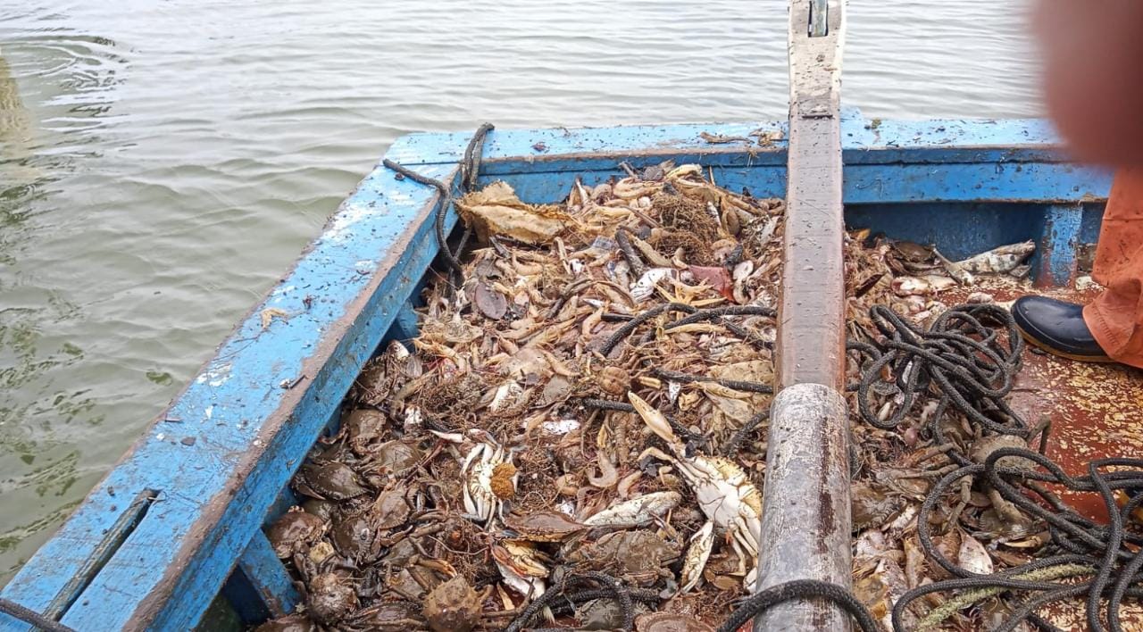 Batalhão de Polícia Ambiental – Força Verde realiza ações de fiscalização em Matinhos e Guaratuba 5 dotbfcy
