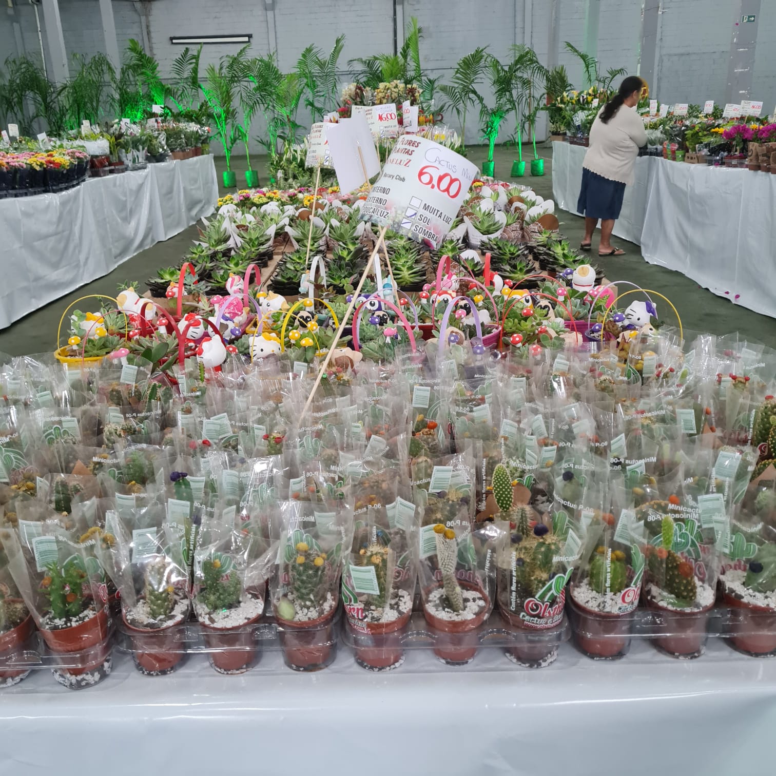 Expoflor acontece até domingo em Paranaguá 2
