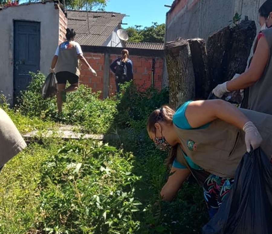 Prefeitura de Paranaguá realiza Dia D de mobilização contra a dengue neste sábado, 19 2 hspdtcgn
