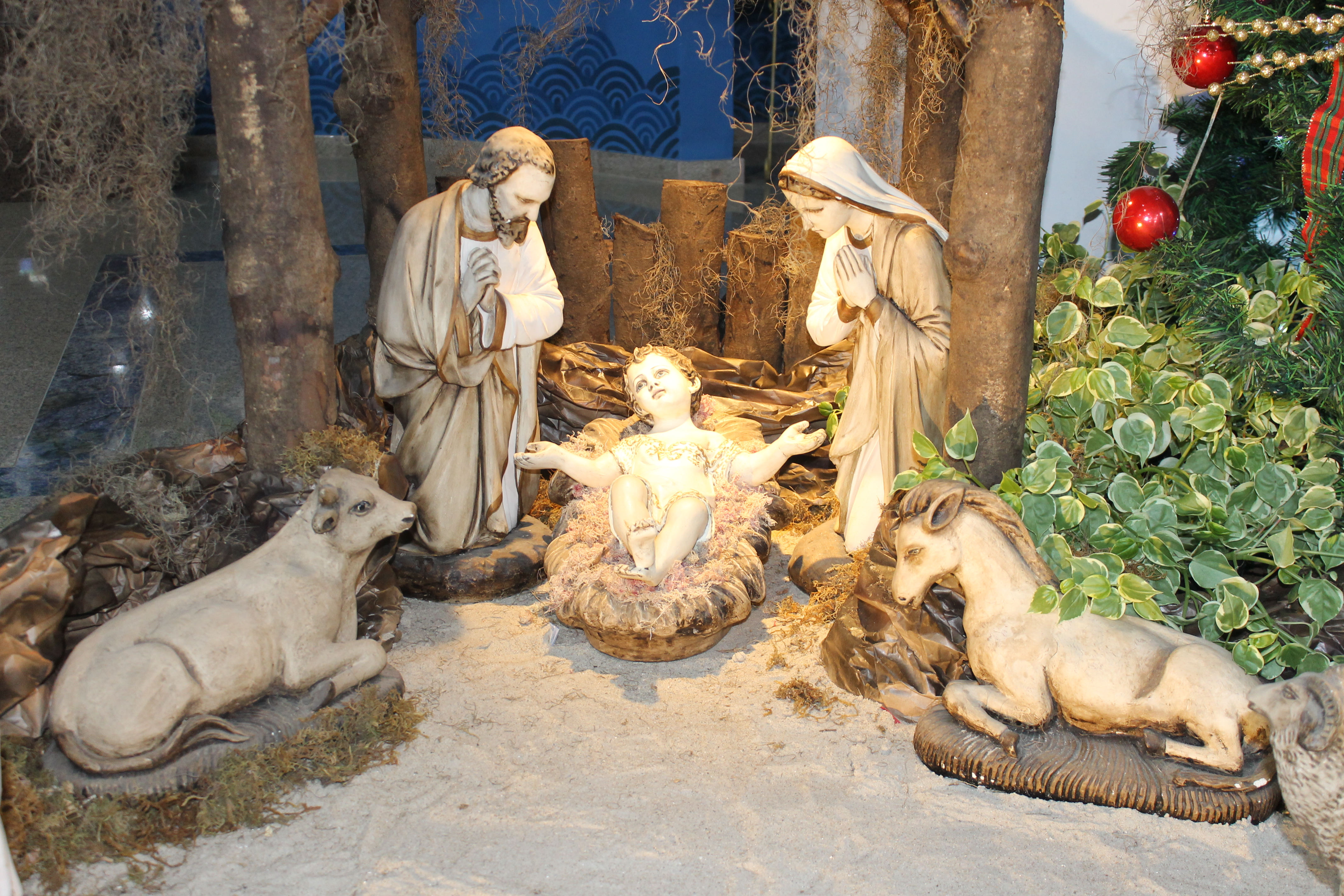 Reitor do Santuário do Rocio destaca o verdadeiro sentido do Natal 3 bv33y6f