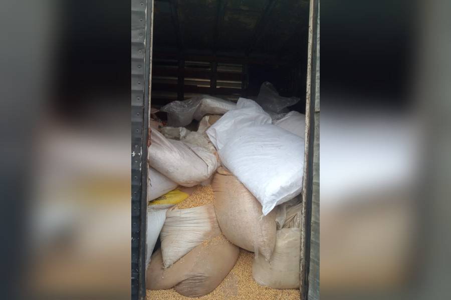 PM apreende quase 7 toneladas de grãos de soja furtados em Paranaguá 2 pwpw4bom