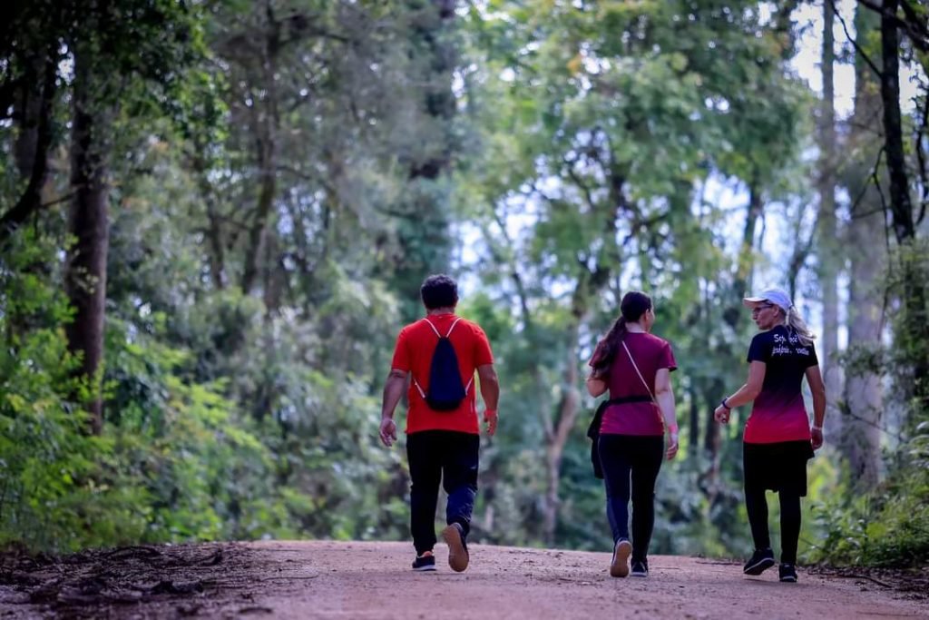 Turismo rural: 97 circuitos das Caminhadas da Natureza atraíram 63 mil pessoas em 2023 2 k33iqc5