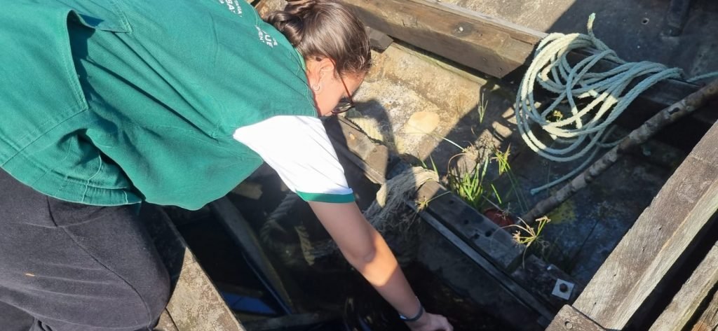 Guaratuba decreta situação de emergência contra a Dengue na área urbana e rural 2 mw3j02jg