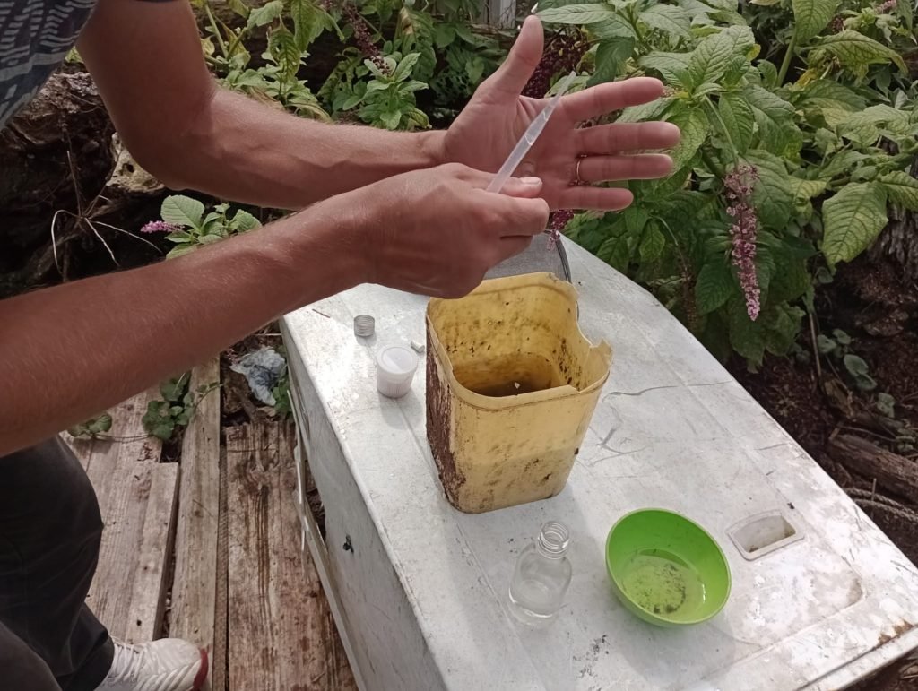Guaratuba decreta situação de emergência contra a Dengue na área urbana e rural 3 y3gtb2al