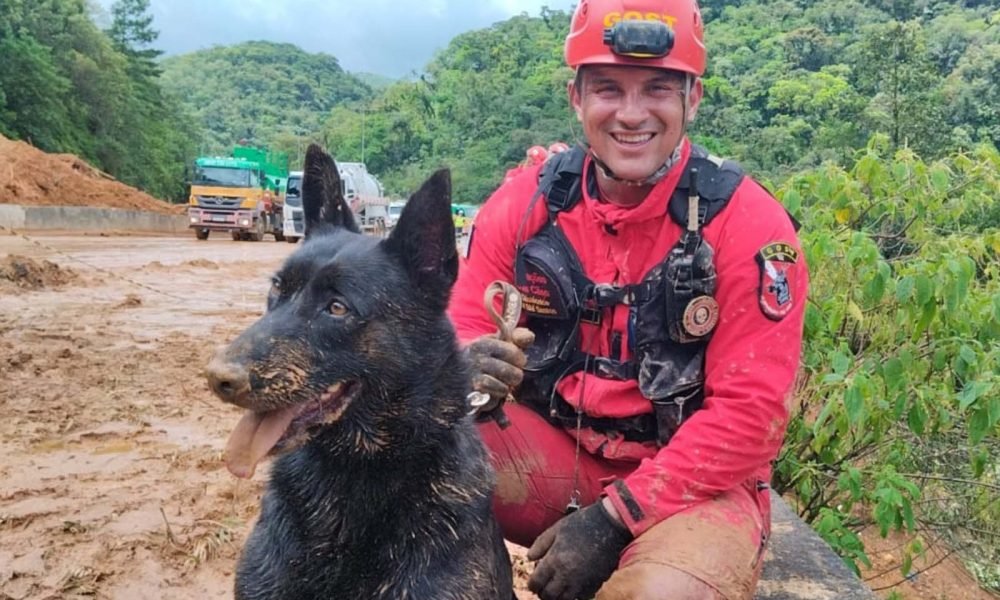 Imagem mostra bombeiro e seu cão que trabalham no resgate de vítimas no Rio Grande do Sul