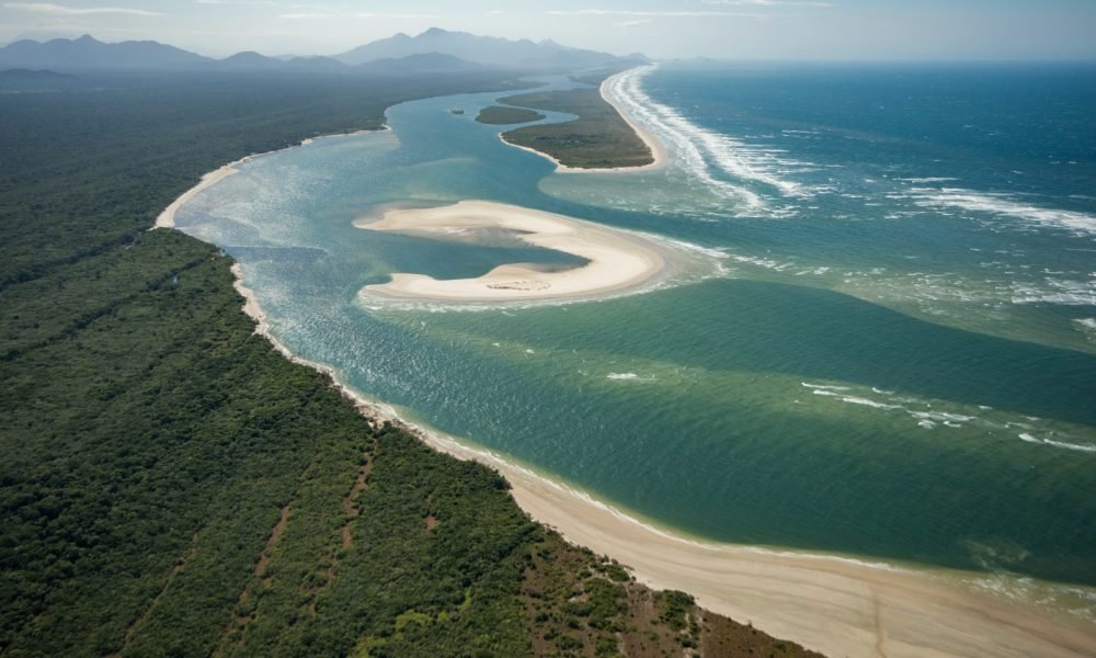 Imagem de uma floresta vista de cima e logo ao lado um litoral com areia e água azul