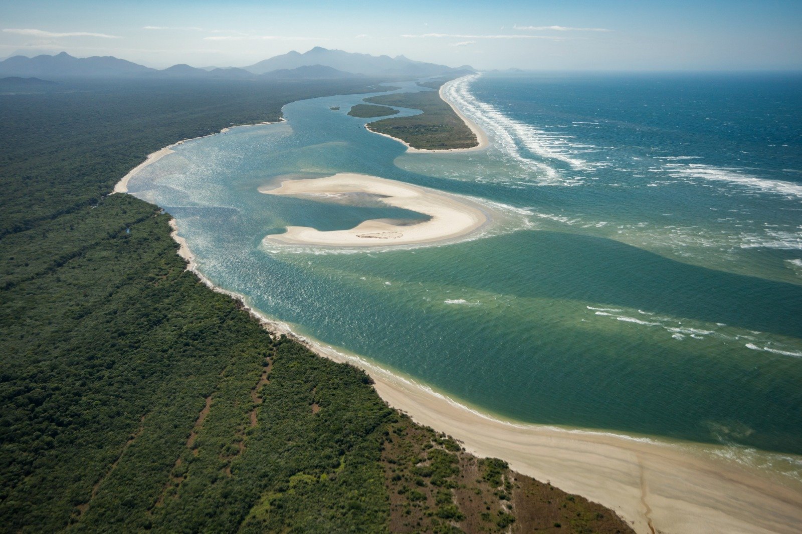 Imagem de uma floresta vista de cima e logo ao lado um litoral com areia e água azul