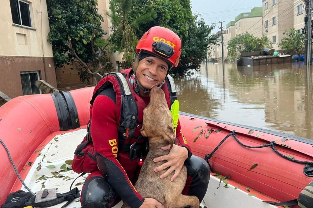 Imagem mostra um agente com um cachorro que foi salvo durante a operação