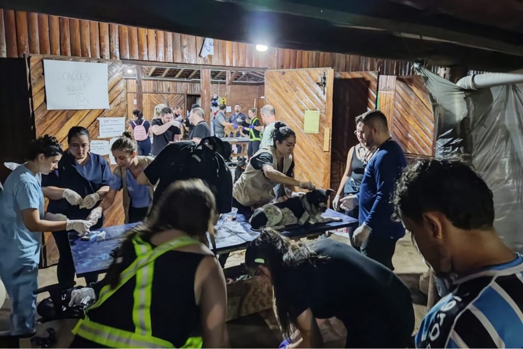 Voluntários em um centro de acolhimento aos animais resgatados vítimas das chuvas no Rio Grande do Sul