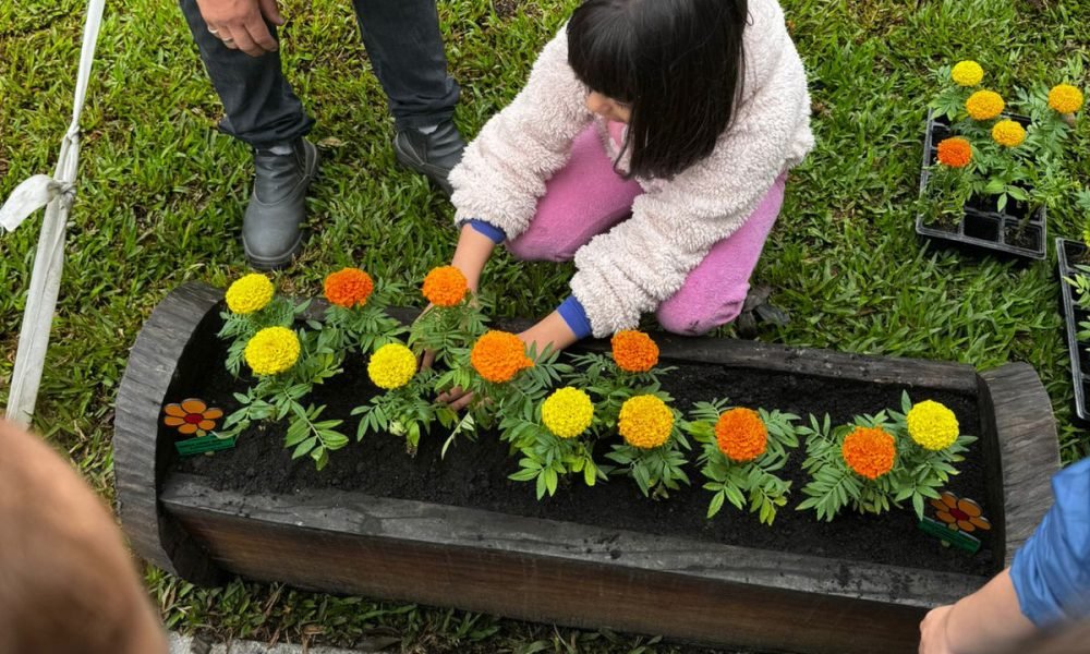 plantio de flores