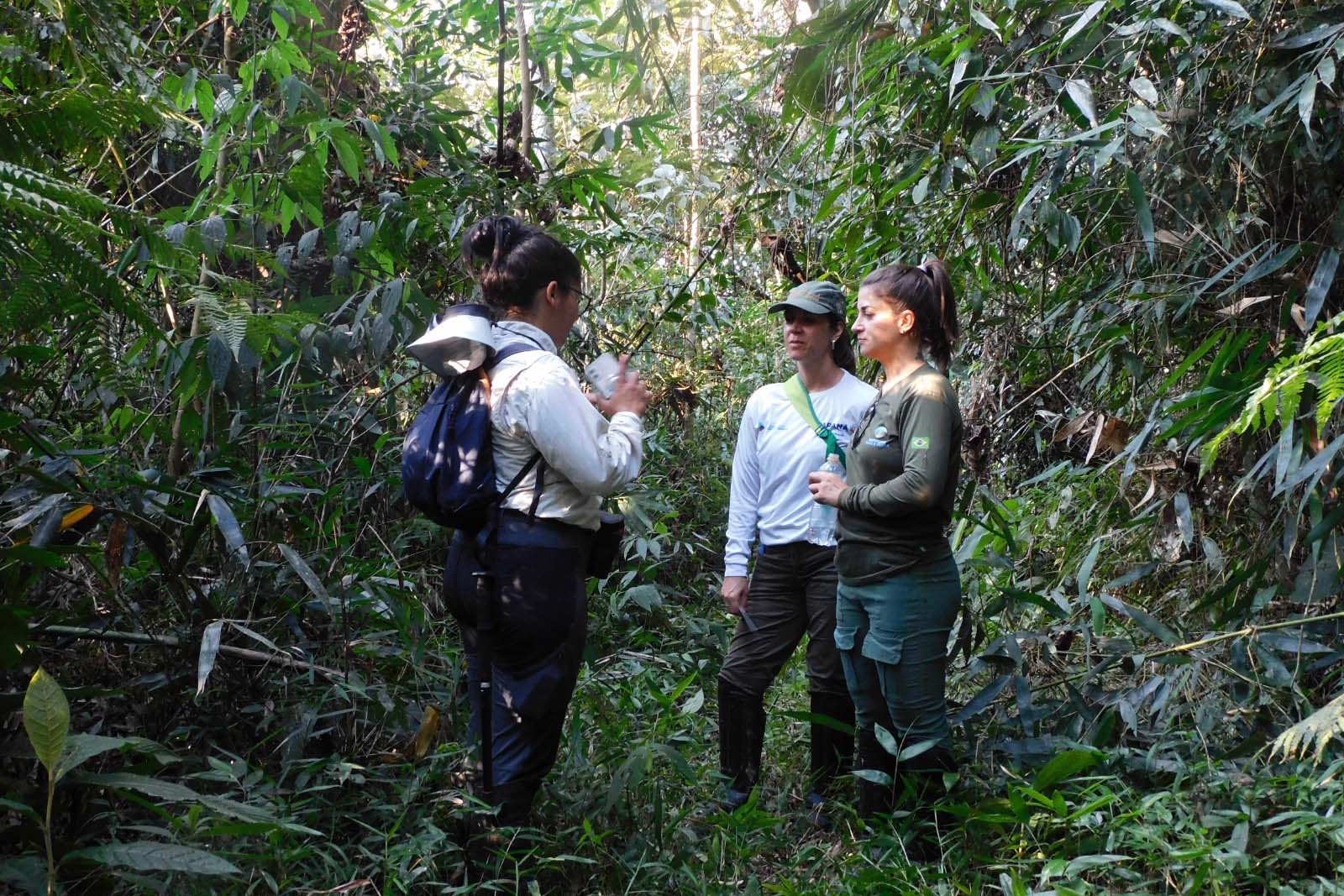 Foto mostra três pessoas na floresta, realizando uma pesquisa