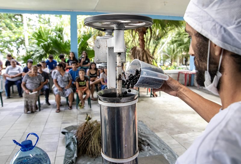 açaí juçara