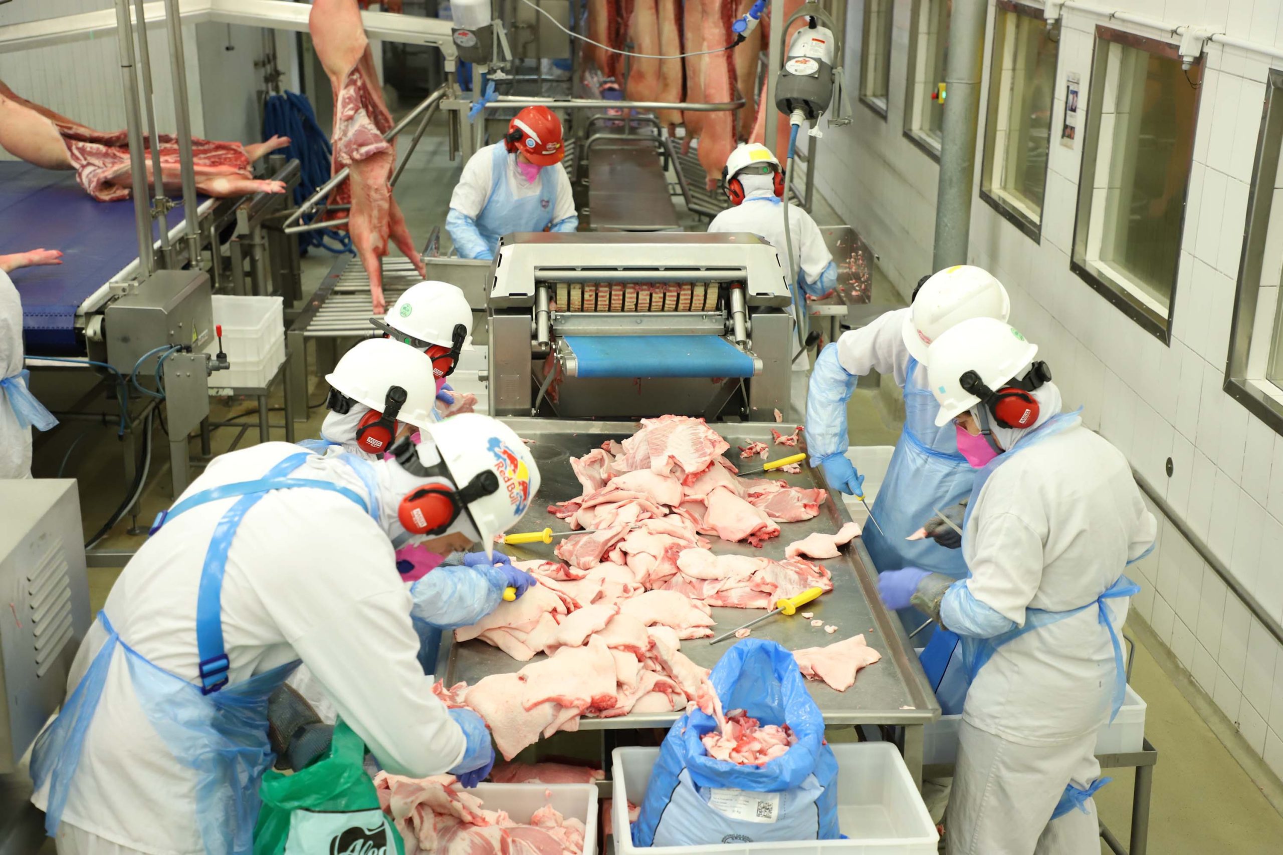 Setembro foi o melhor mês para a exportação de carne suína paranaense