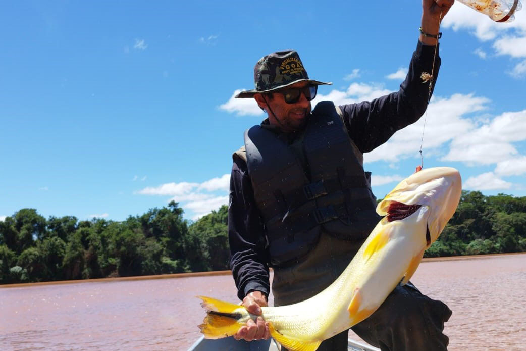 IAT proíbe pesca predatória.