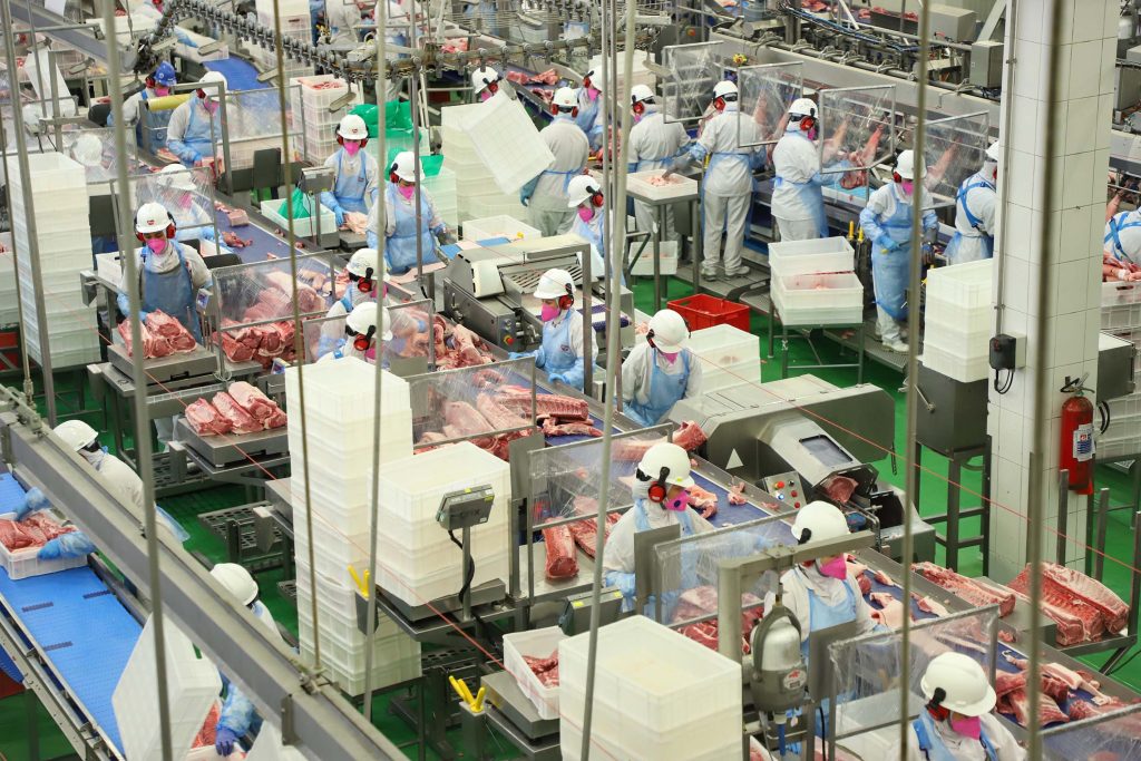 Setembro foi o melhor mês para a exportação de carne suína paranaense 