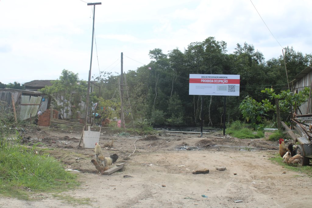 placas na vila do povo em manguezais em Paranaguá