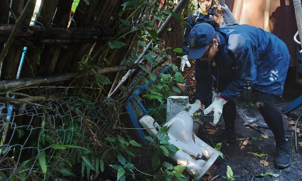 178 casos de dengue no litoral do Paraná estão em investigação pela doença (Foto: Arquivo/Prefeitura de Paranaguá)