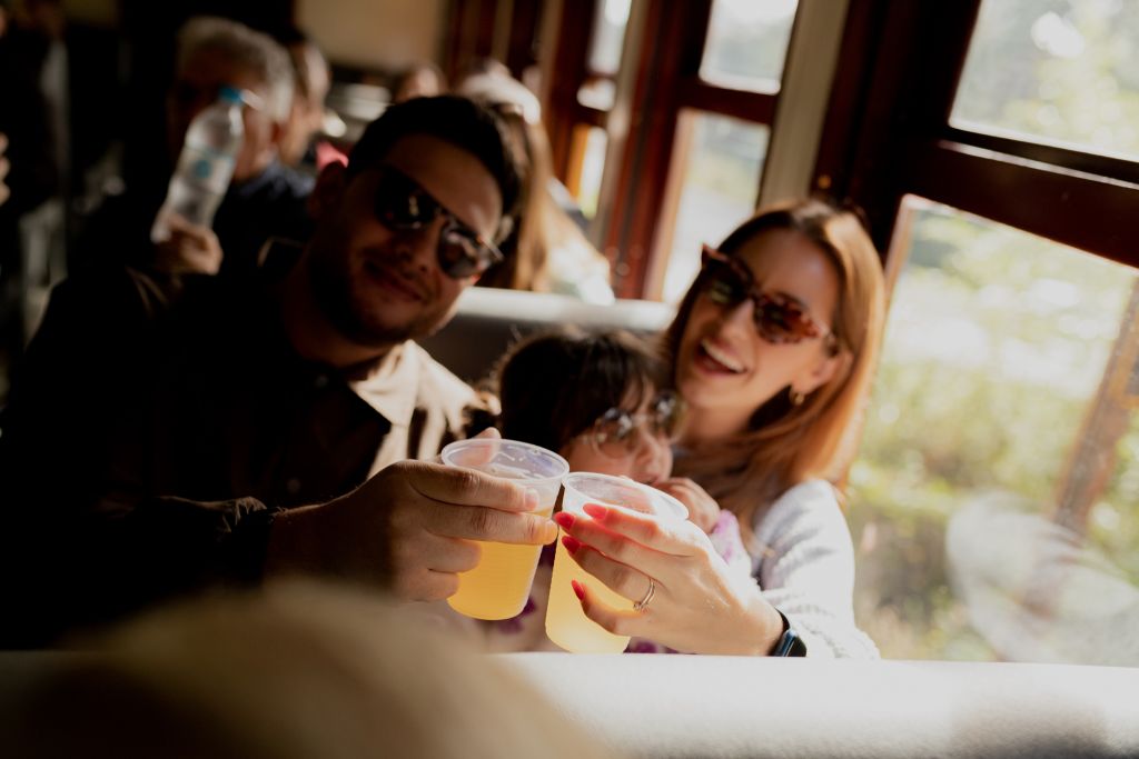 Os passeios acontecem nos dias 8, 15, 22 de fevereiro e 1 de março, sempre aos sábados. / Foto: Passeios de Trem