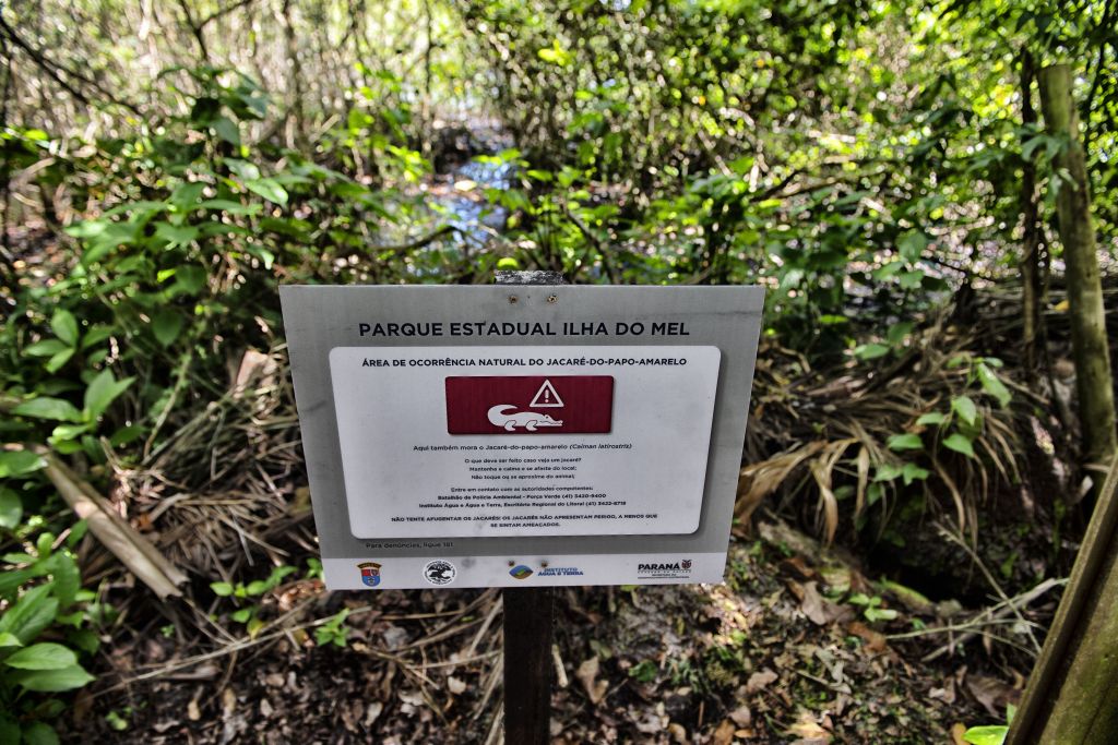Ilha do Mel: IAT inicia instalação de placas educativas de cuidado com fauna 2 Foto 4