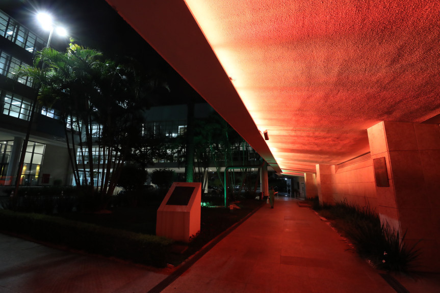 A Assembleia Legislativa foi iluminada com cores diferentes durante todo o ano dependendo de contexto específico. / Foto: Orlando Kissner/Alep