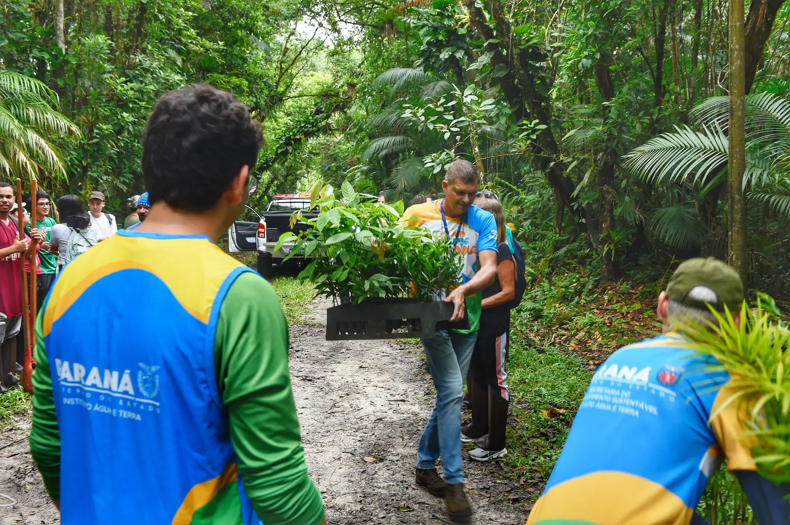 Participantes envolvidos em um projeto de reflorestamento transportando mudas de plantas em uma trilha na floresta, mostrando a importância da ação social e ambiental. Voluntários plantam mudas de espécies nativas no Parque Estadual do Palmito