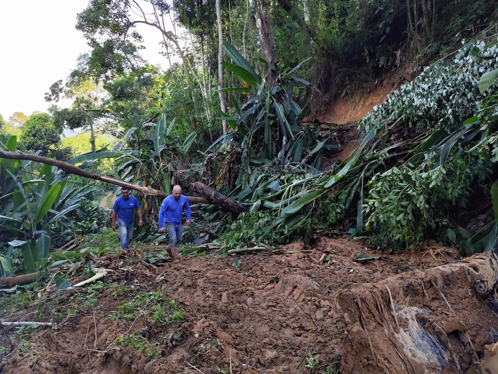 desastre natural em morretes