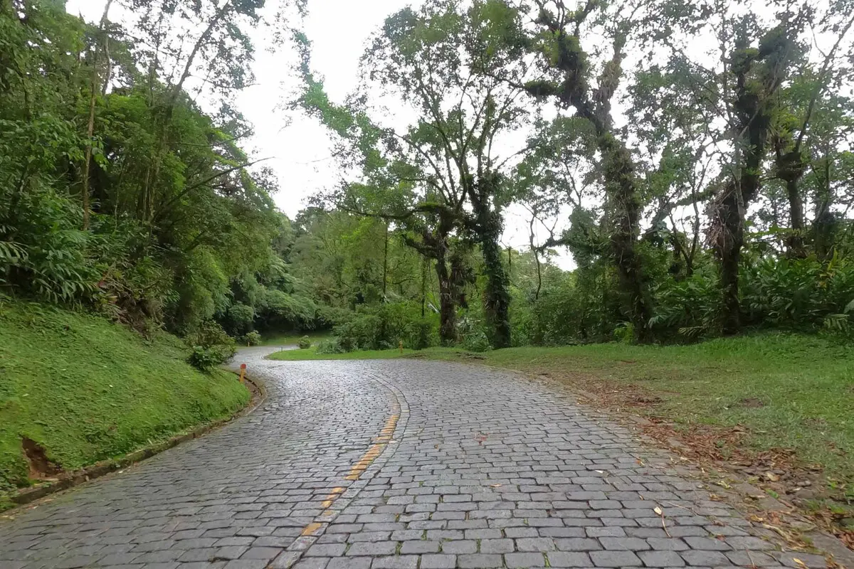 1 estrada da graciosa no litoral do parana 1