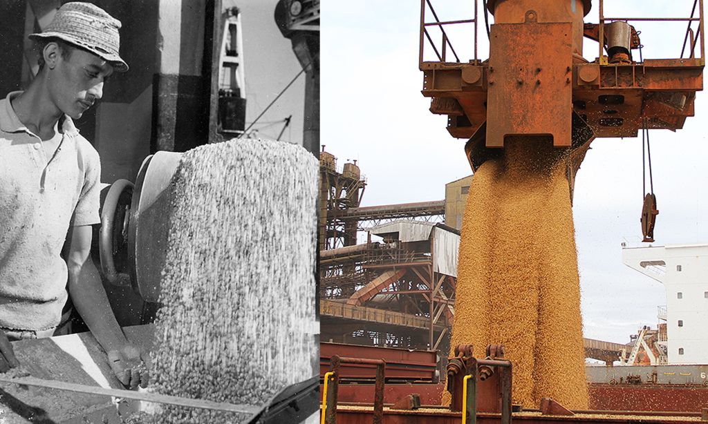 Portos do Paraná: 90 anos de história impulsionando o desenvolvimento de Paranaguá 9 Imagem que retrata o processo de moagem de grãos, mostrando um trabalhador e a descarga de grãos em um navio, destacando a importância da indústria agrícola. Portos do Paraná: 90 anos de história impulsionando o desenvolvimento de Paranaguá