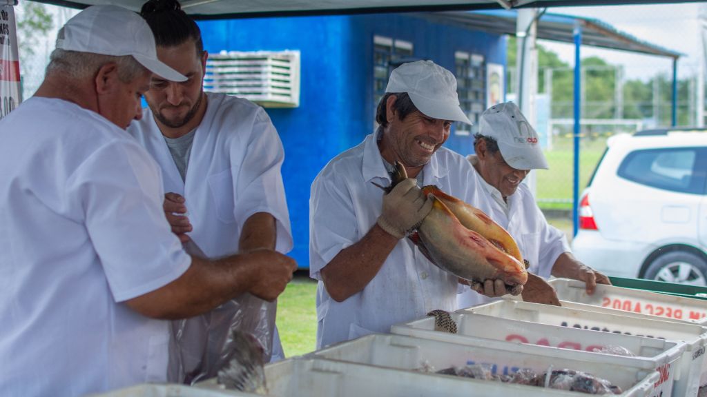 Feira de Peixes de Cultivo comercializa cerca de 3.850 kg de pescados em Paranaguá 4 15314