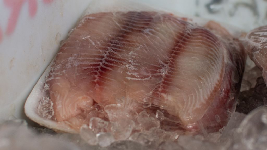 Feira de Peixes de Cultivo comercializa cerca de 3.850 kg de pescados em Paranaguá 5 15319