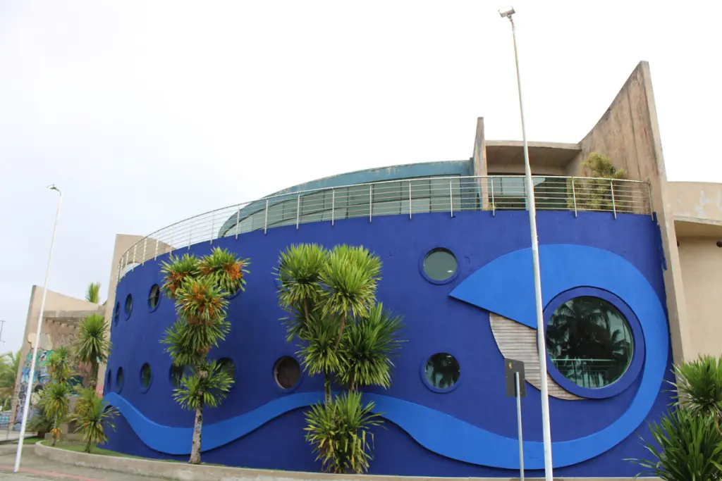 Aquário receberá nova arte urbana em 360 graus do Paranaguá Mais Cores 1 2 aquario de paranagua 1