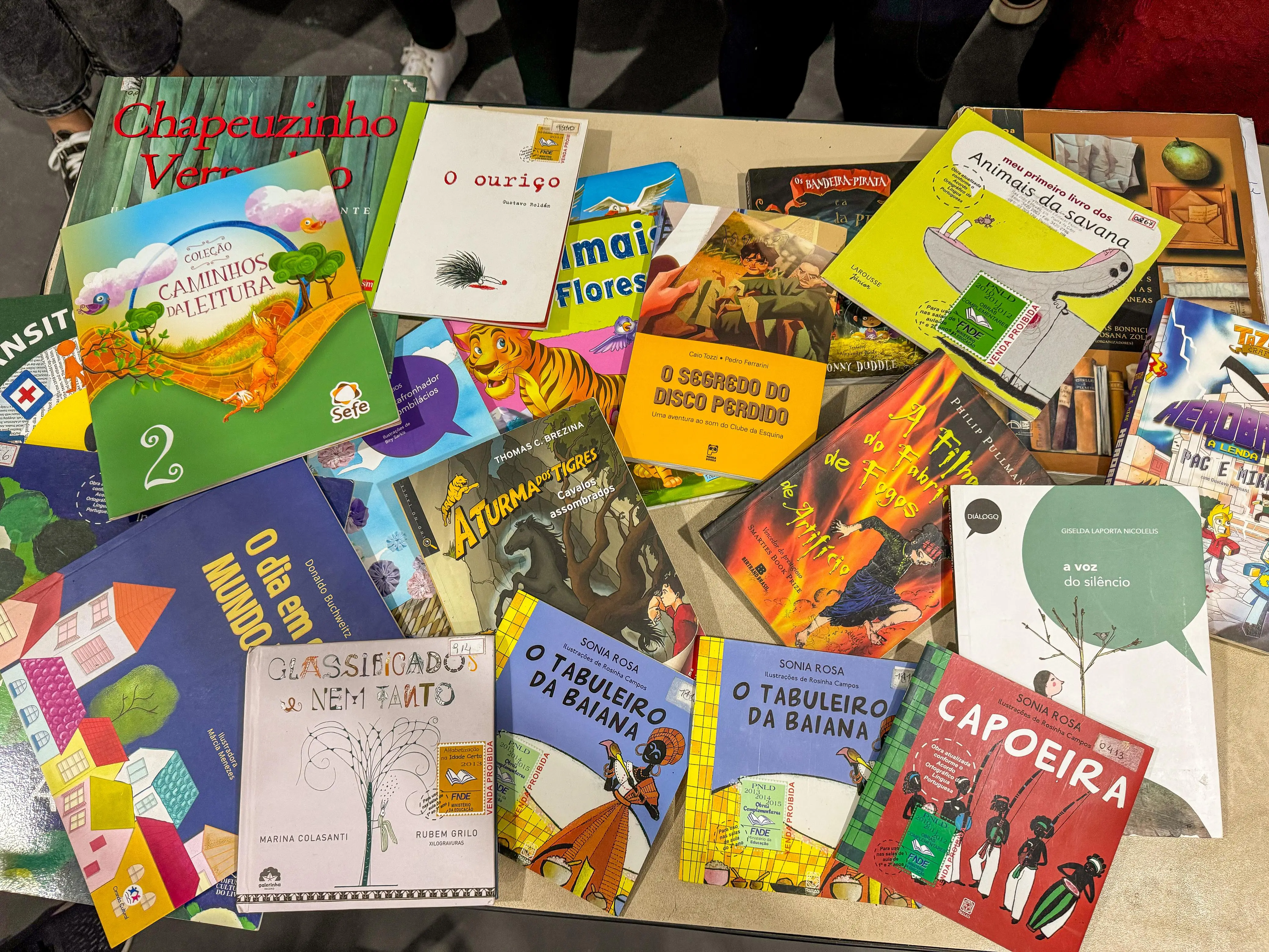 A iniciativa surgiu na disciplina de Tópicos em Educação e Cultura e busca combater a defasagem no acesso à literatura enfrentada por muitas crianças (Foto: Divulgação/Unespar)