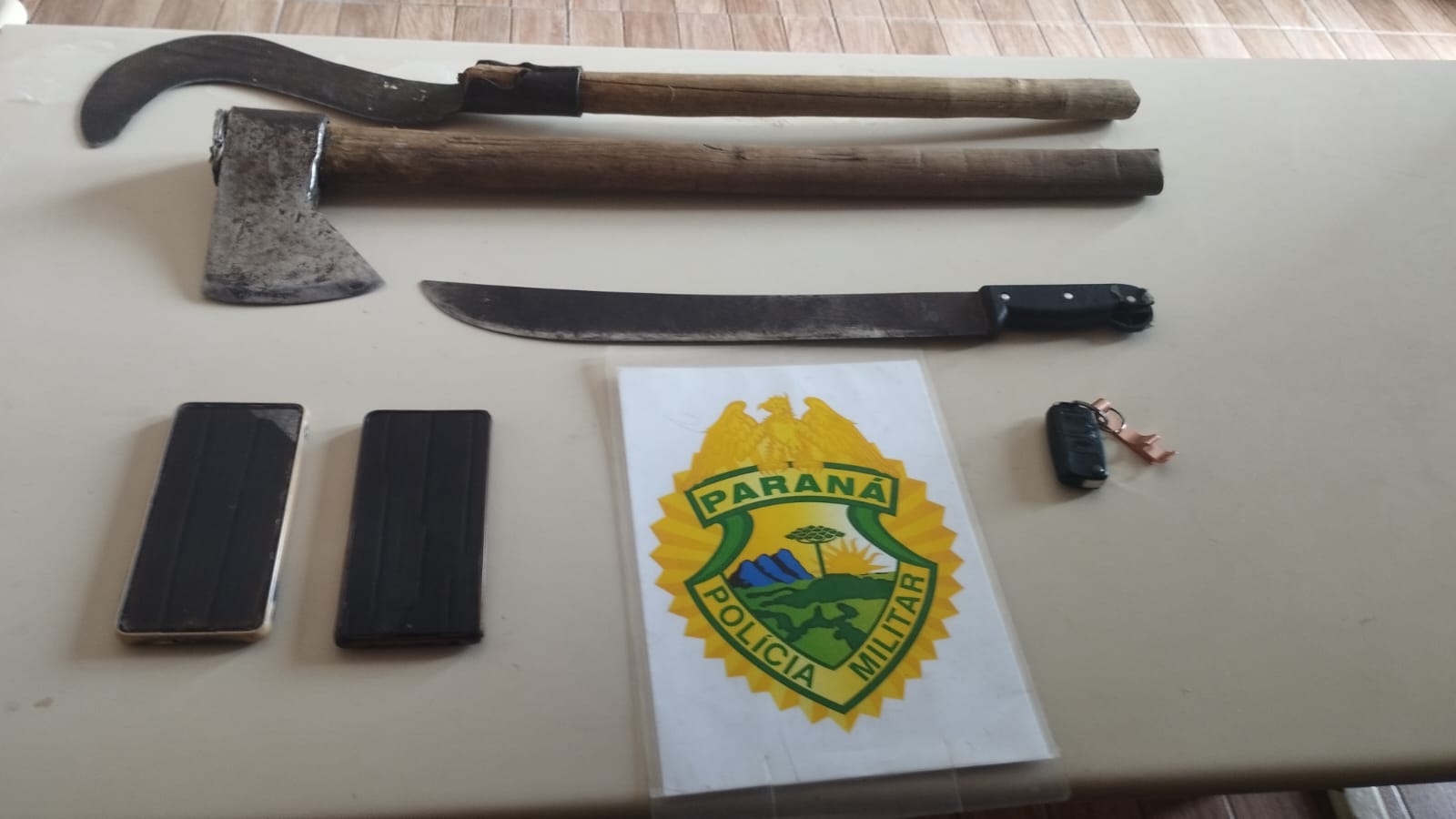 Polícia flagra desmatamento ilegal em área de preservação no Balneário Canoas; quatro homens são presos 1 A equipe constatou o corte de vegetação rasteira, incluindo espécies nativas da Mata Atlântica como bromélias, jacatirão, guarumdi e samambaias, o que configura crime ambiental