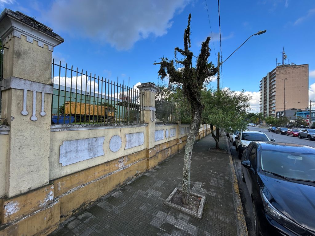 Secretaria do Meio Ambiente de Paranaguá alerta para árvores com risco de queda 2 Secretaria de Meio Ambiente de Paranaguá alerta para árvores em risco de queda