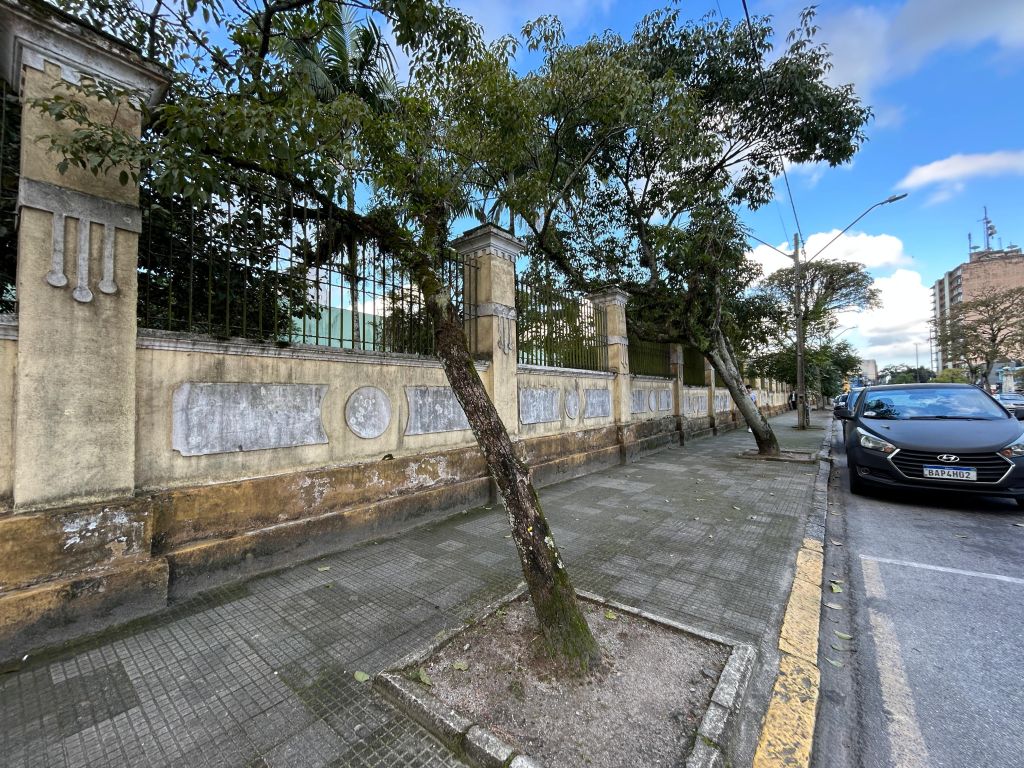 Paranaguá vai cortar árvores com risco de queda e plantar novas mudas