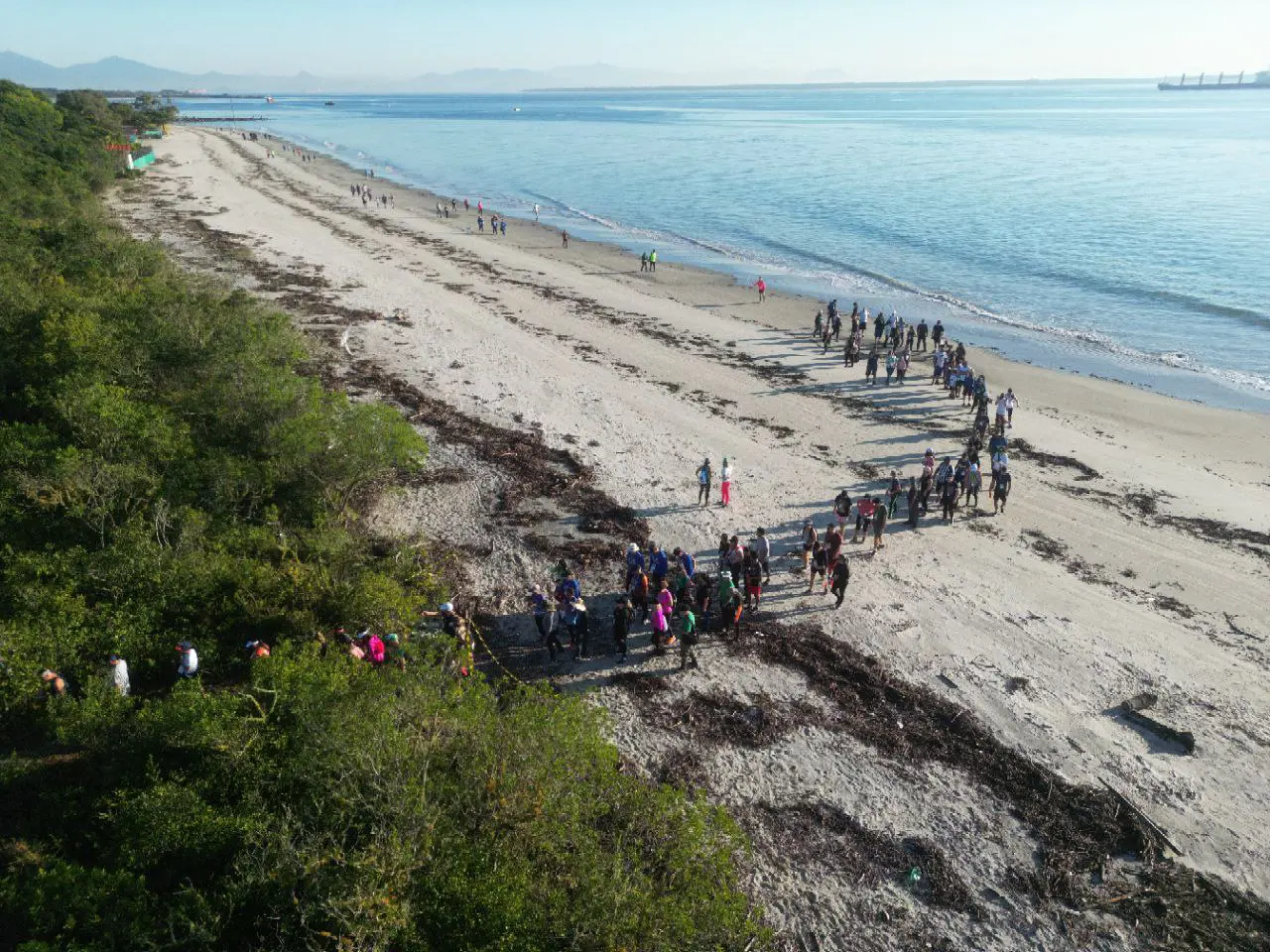A caminhada ocorre durante a temporada da pesca da tainha, o que éuma oportunidade única de presenciar a tradicional puxada de rede, ou lanço de tainha, prática tradicional dos pescadores locais no litoral paranaense (Foto: Prefeitura de Pontal do Paraná)