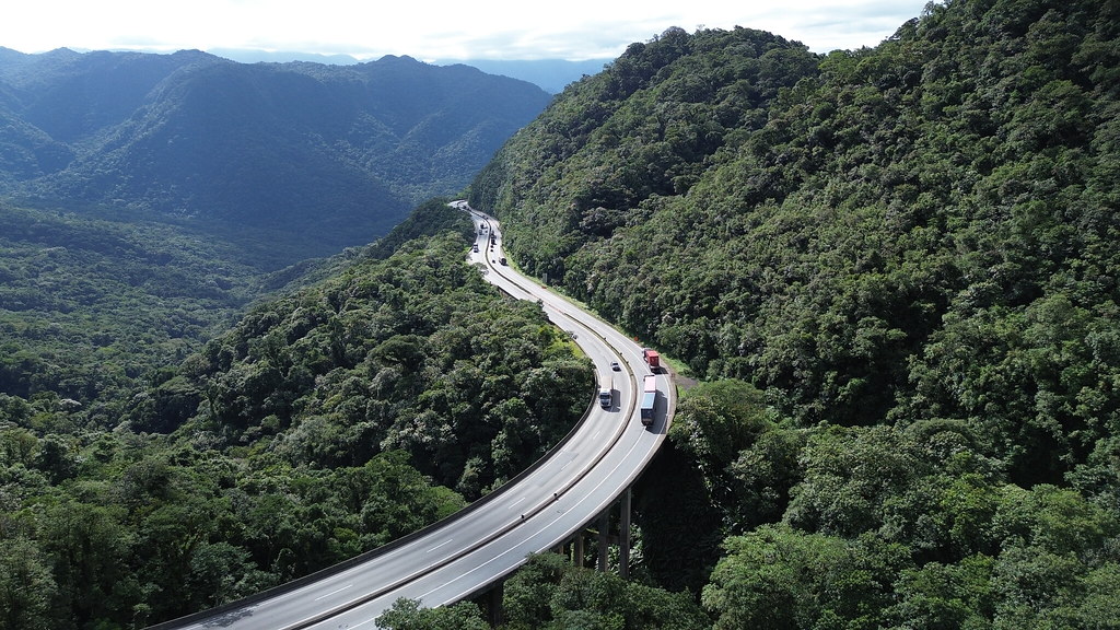 54033727905 60217f175a b