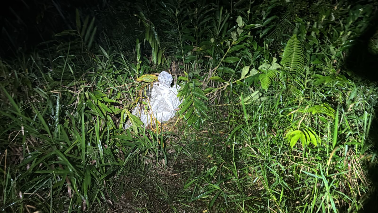 Corpo em avançado estado de decomposição é encontrado às margens da PR-508 1 Segundo informações, a denúncia partiu de uma pessoa que trafegava pelo local e notou um forte odor vindo da vegetação próxima à rodovia