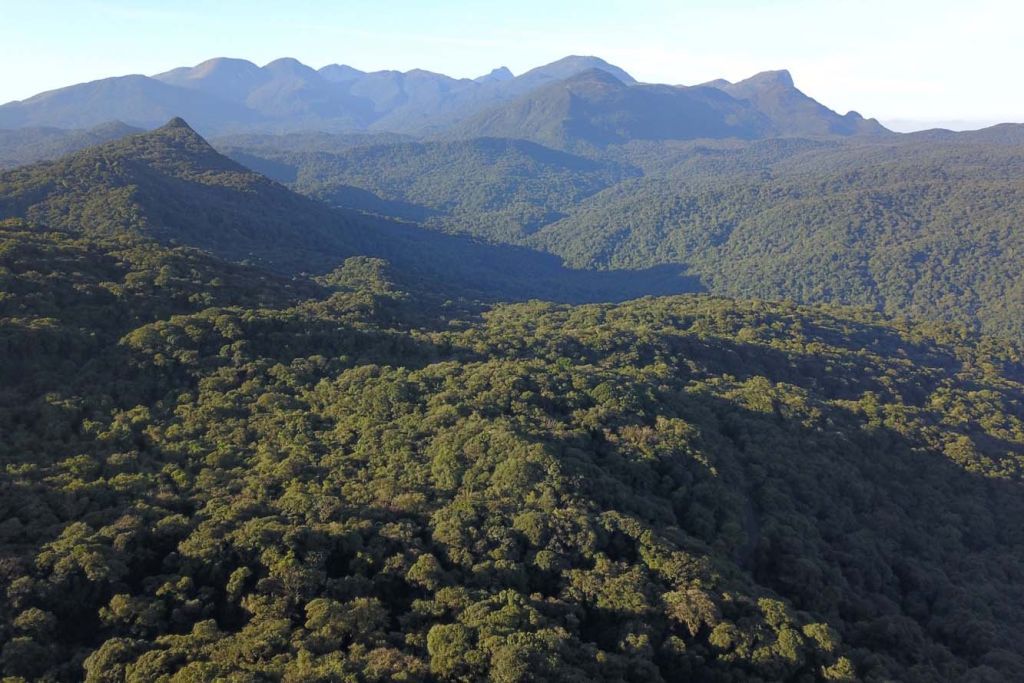 Litoral paranaense tem a maior área remanescente de Mata Atlântica do Brasil 2 foto2 2