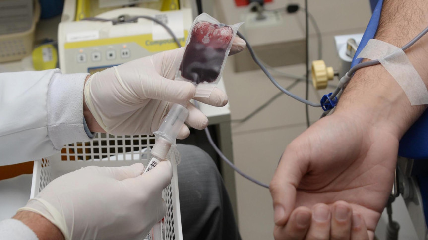 No Paraná, o Centro de Hematologia e Hemoterapia do Paraná (Hemepar) é responsável por 95,6% do estoque dos leitos do Sistema Único de Saúde (SUS), abastecendo 375 hospitais, públicos, privados ou filantrópicos (Créditos: Venilton Küchler/SESA)