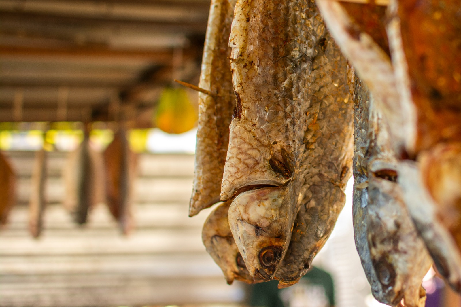 Mais de 11 toneladas de pescados são comercializados durante a 13.ª Festa Nacional da Tainha em Paranaguá 1 Segundo relatório técnico da Secretaria Municipal de Desenvolvimento Rural e Ilhas, Pesca, Abastecimento e Aquicultura (Semdesp), foram comercializados 11.570 quilos de pescados ao longo dos dez dias de festa (Foto: Moysés Zanardo/Prefeitura de Paranaguá)
