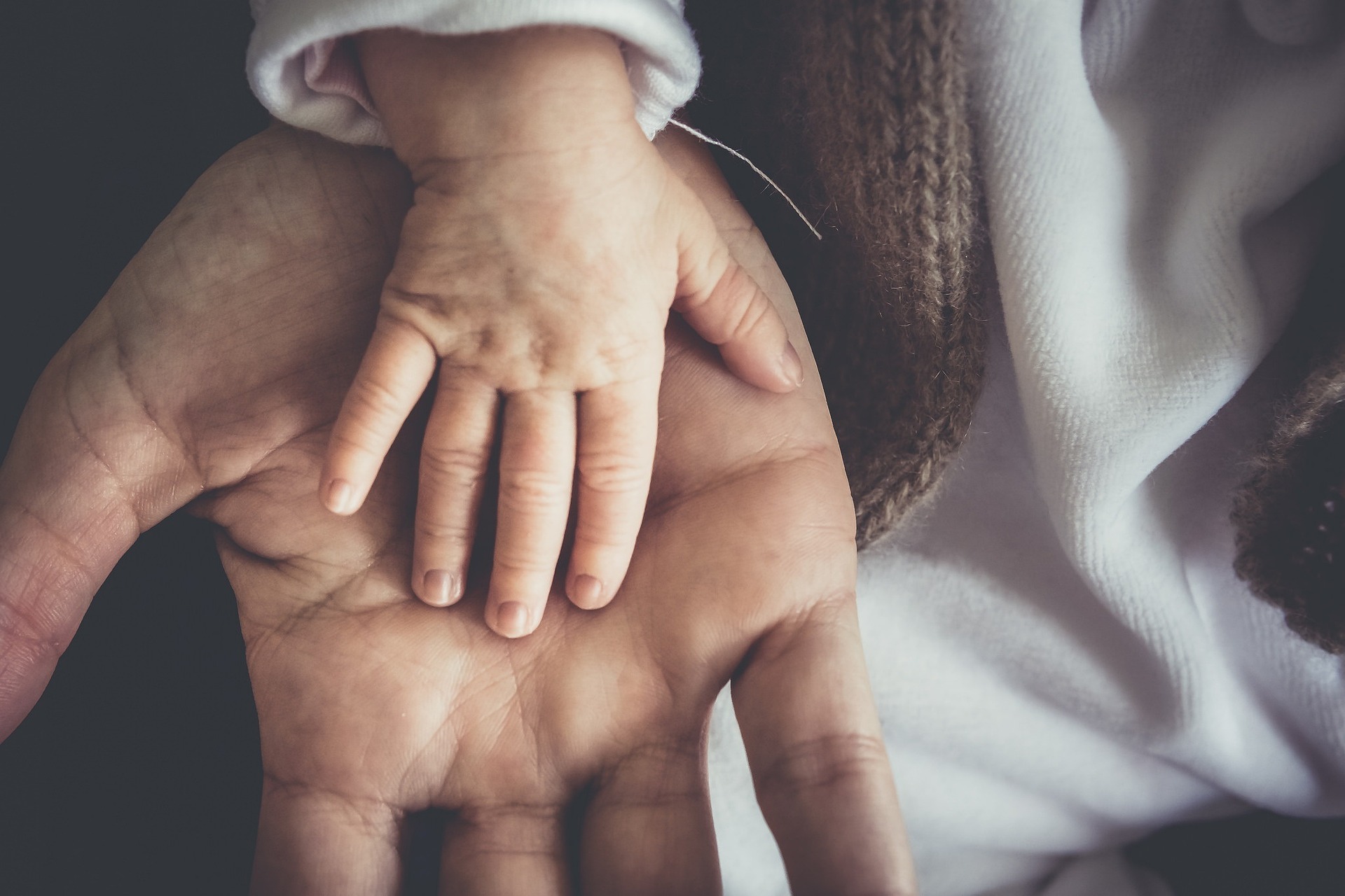 “O pai não é um coadjuvante. Ele também cuida, apoia e educa. Quanto mais presente, mais forte e saudável tende a ser a relação familiar”, afirma o advogado Rubens Bordinhão de Camargo Neto. / Foto: Pixabay