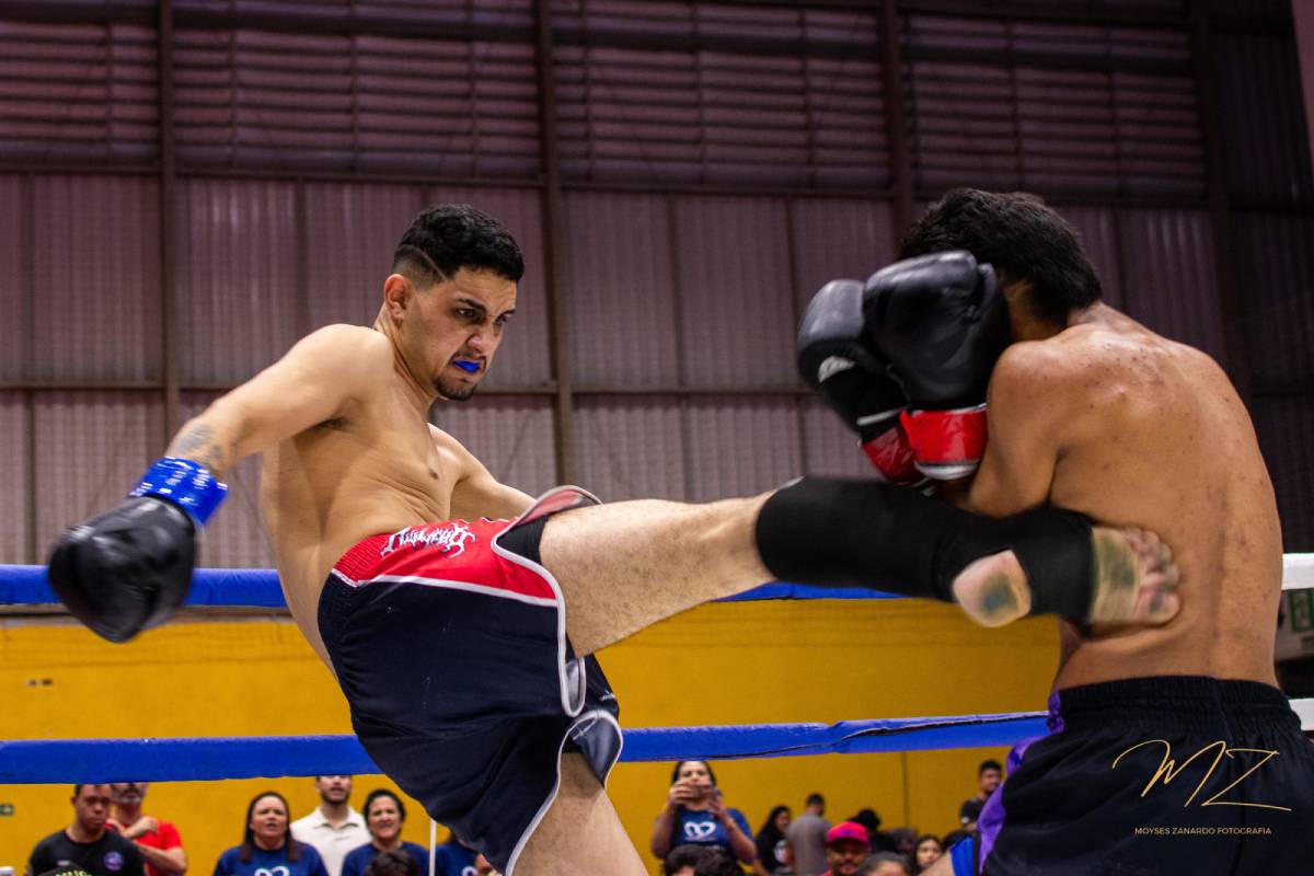Entre as modalidades da competição estão MMA, Muay Thai, Kickboxing e Boxe (Foto: Moyses Zanardo)